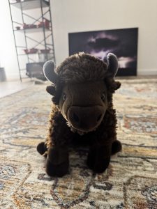 Be_A_Bison_v1.zip