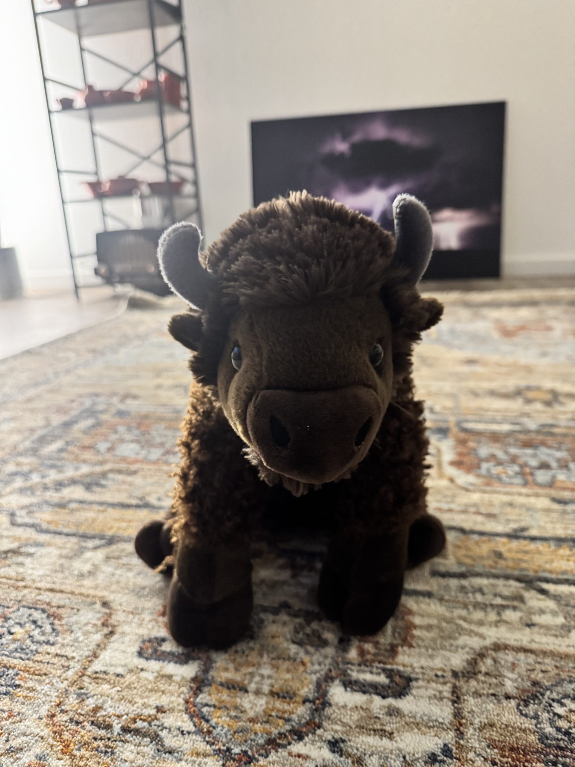 Be_A_Bison_v1.zip