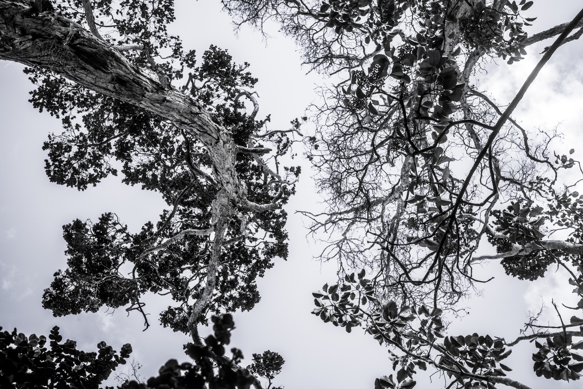 October 2025, In Photos