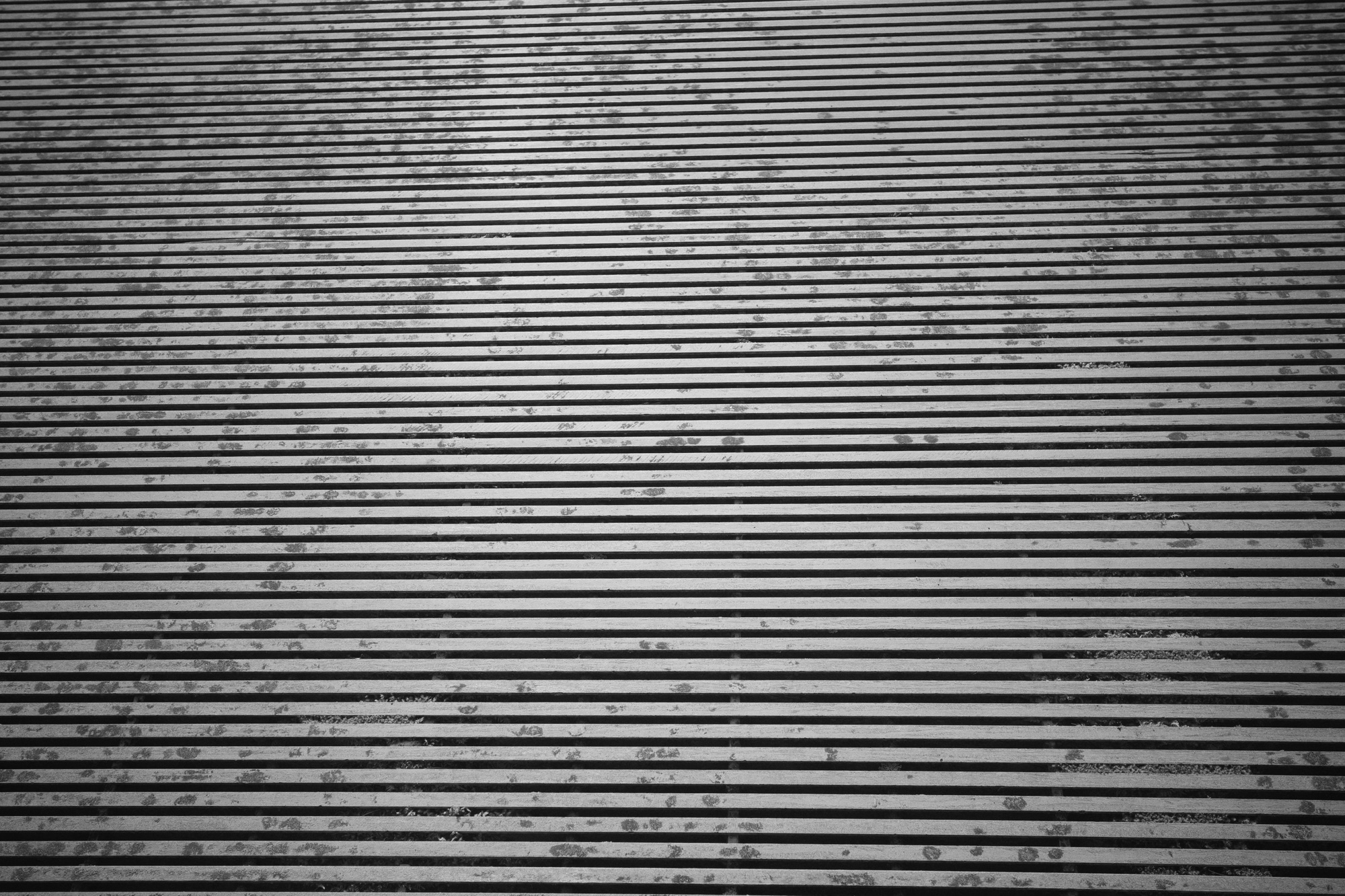 Following the Lines in Black and White