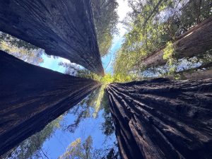 Accountability and Ownership, With Imperfection and Grace