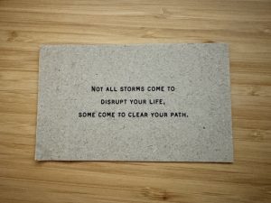 November 2025, In Photos