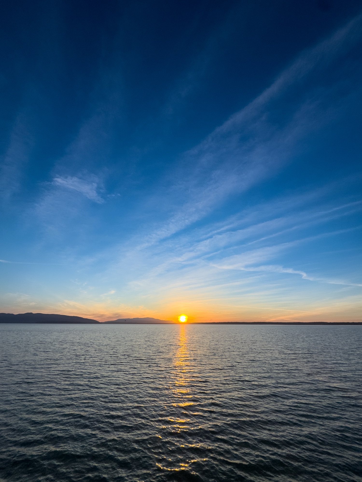 February 2026 in Photos