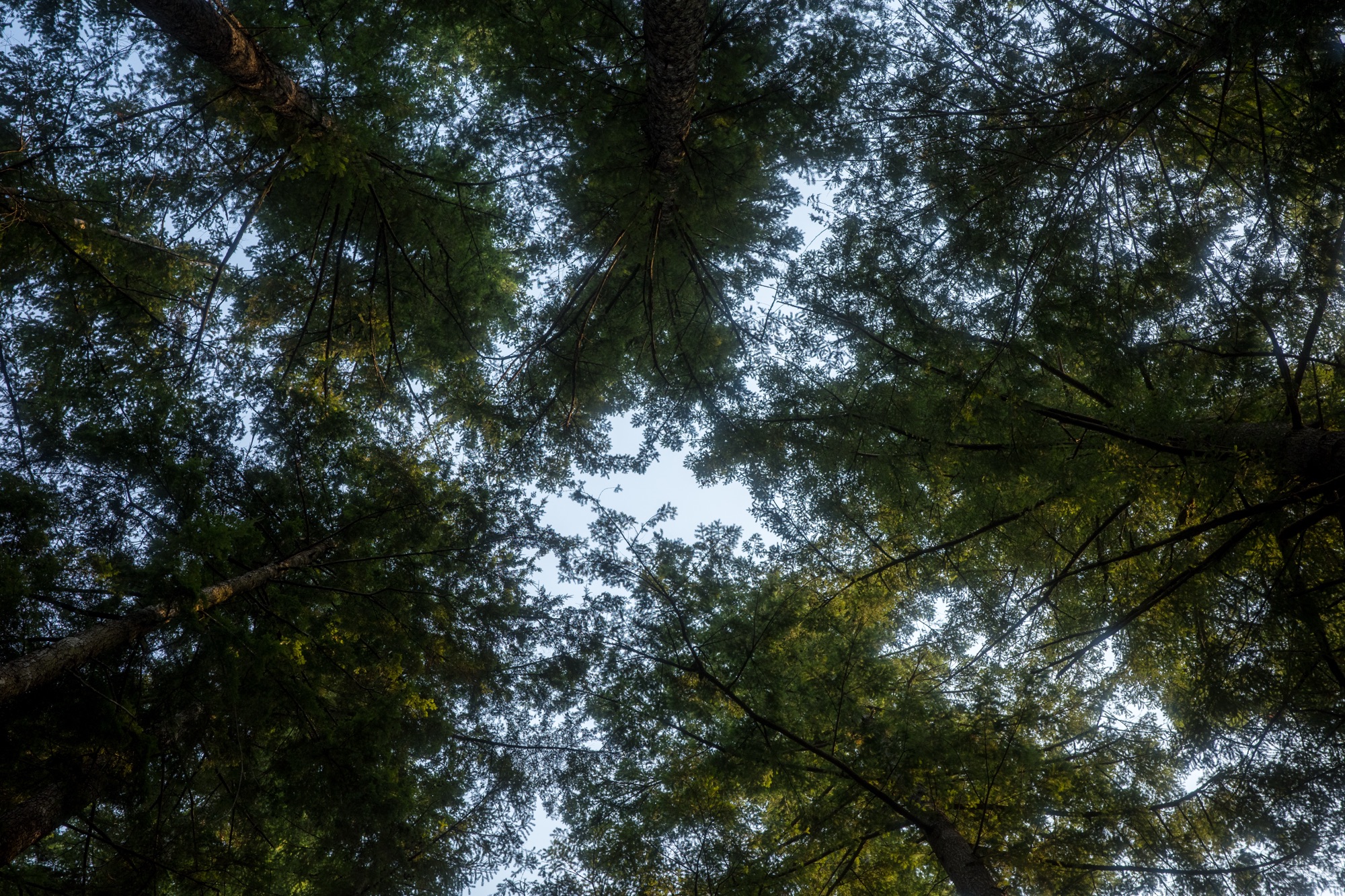 Acceptance. And Uncertainty.