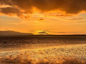 You Label and Stigmatize Me While I Am Doing The Work. How Ironic.