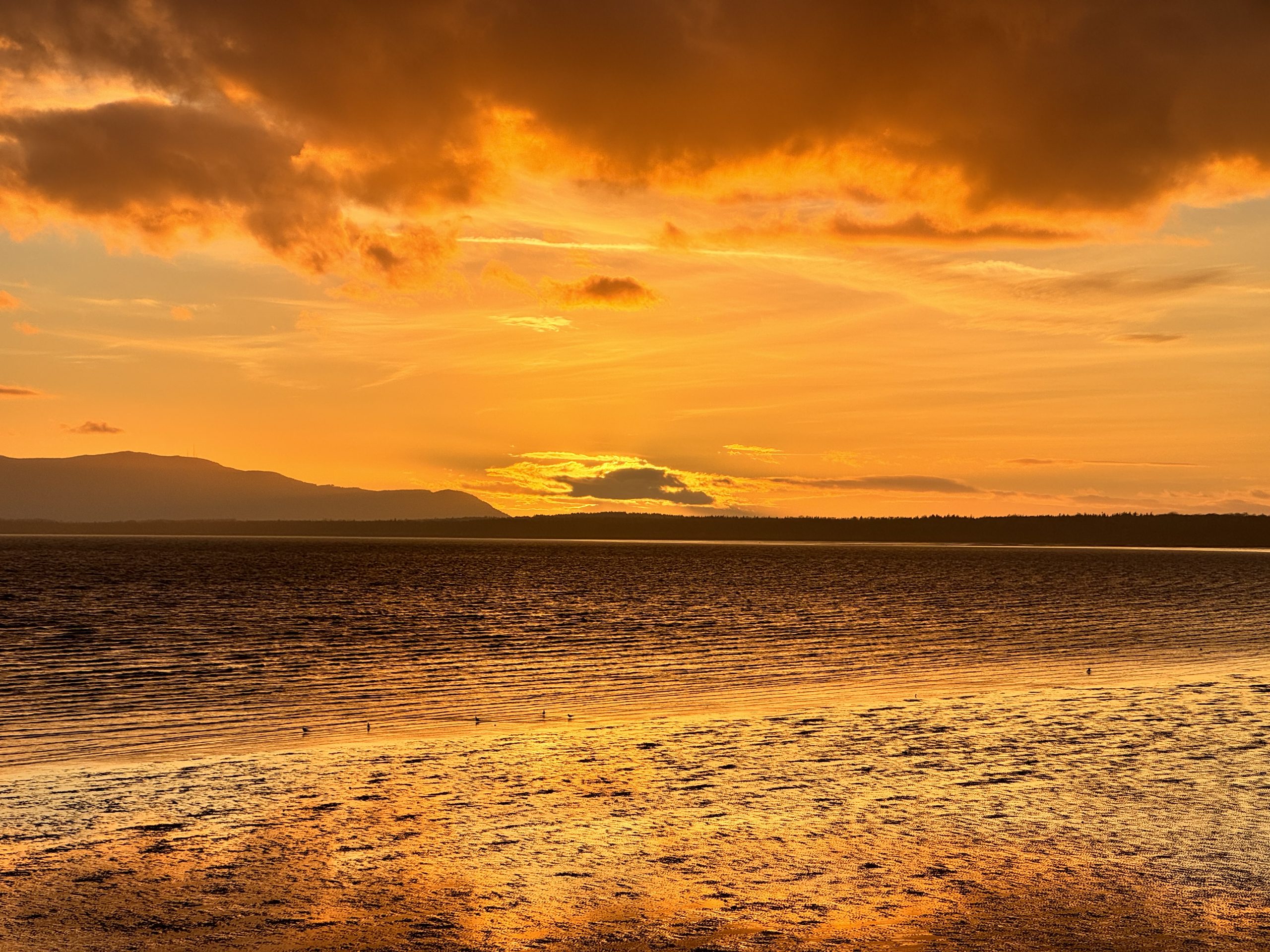 You Label and Stigmatize Me While I Am Doing The Work. How Ironic.