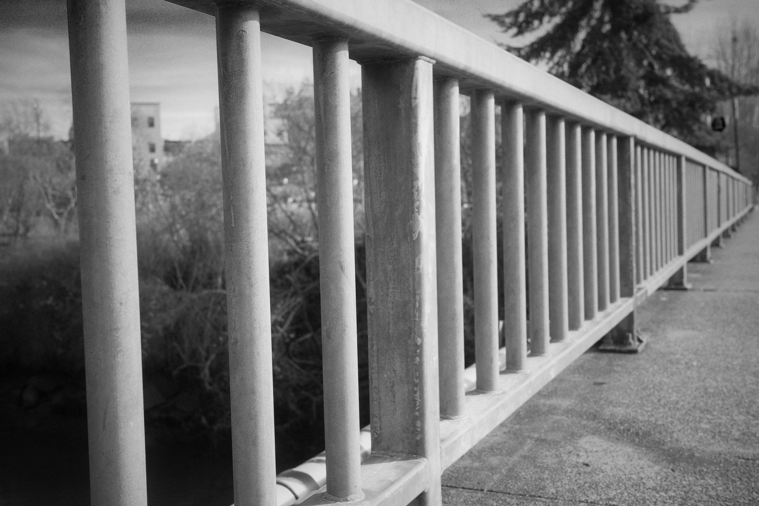 Following the Lines in Black and White