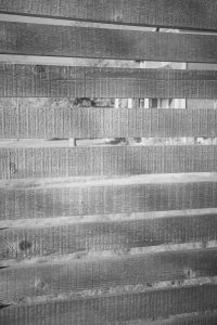 1770412463000 T0001992 1