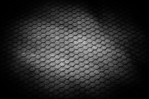 1770841154000 T0002113 1