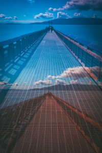 1774120058000 T0002183