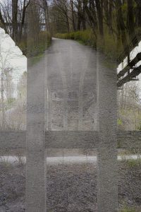 1774210741000 T0002294