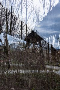 1774211109000 T0002309