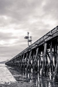 1774212579000 T0002372