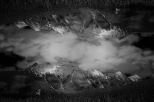 1774901876000 T0002670