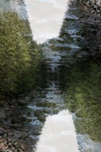 1774903308000 T0002673 1