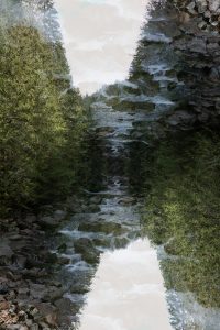 1774903308000 T0002673