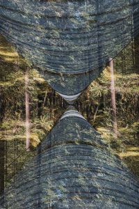 1774904223000 T0002708