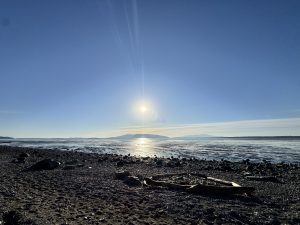IMG 4783
