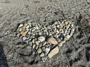 IMG 4790