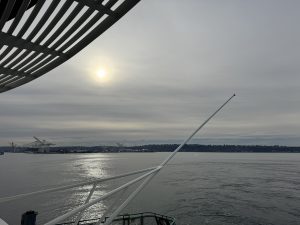 IMG 4844