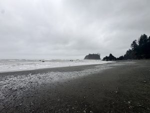 IMG 4895