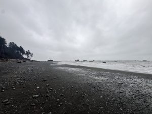 IMG 4896