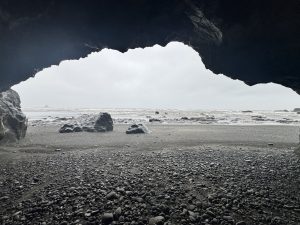 IMG 4899