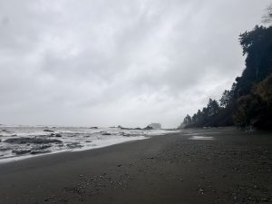 IMG 4901