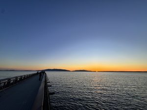 IMG 5672