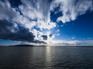 IMG 6159