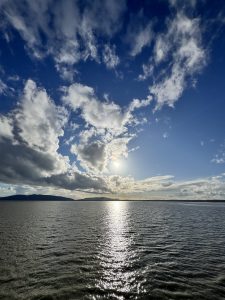 IMG 6161