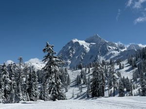 IMG 6353