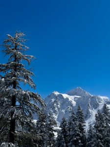IMG 6358