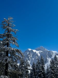 IMG 6358