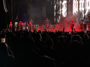 IMG 6597
