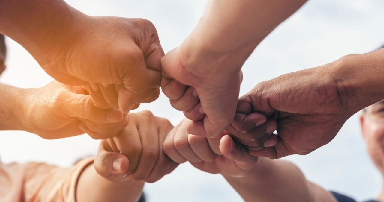 What is Sanadores and Why I Created It