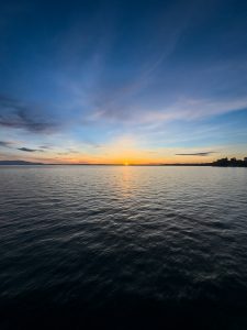 IMG 0082