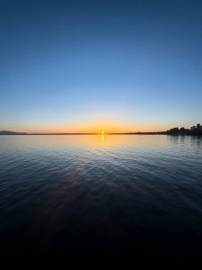 IMG 0213