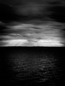 IMG 7036