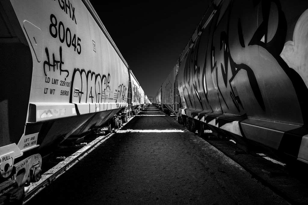 Severed_v1.zip 2 Black and white walkway between two graffiti-covered freight trains