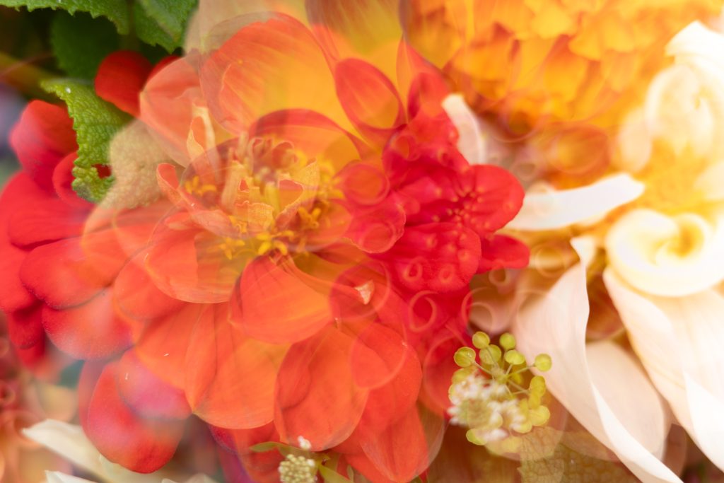 Flowers at the farmers market