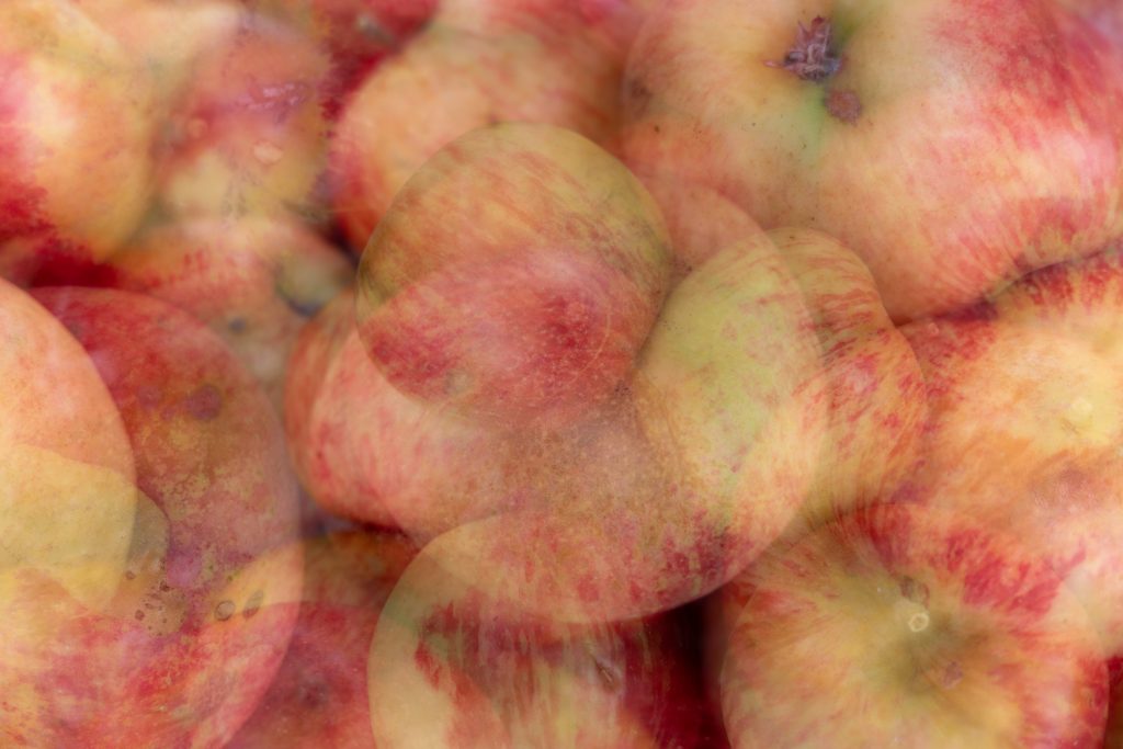 Apples at the farmers market