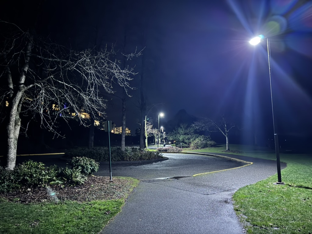 A quiet paved path in Boulevard Park at night, curving past bare trees and glowing streetlights, with lit houses on the hillside in the distance